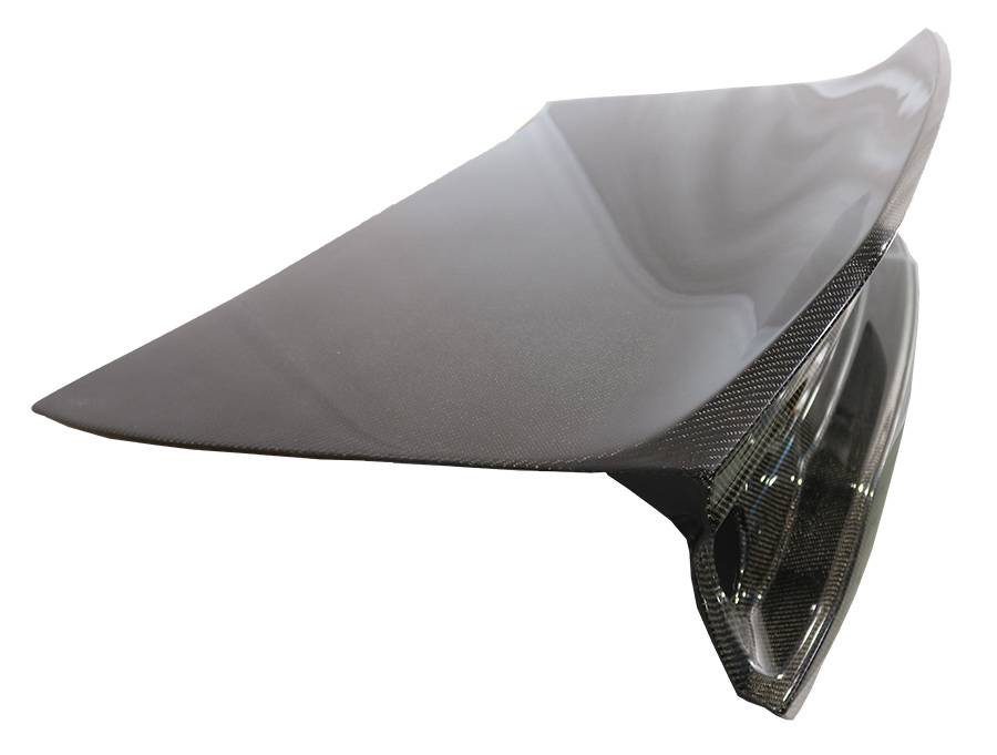 Demon Carbon Fiber Trunk for 2011-2014 Dodge Charger 4dr