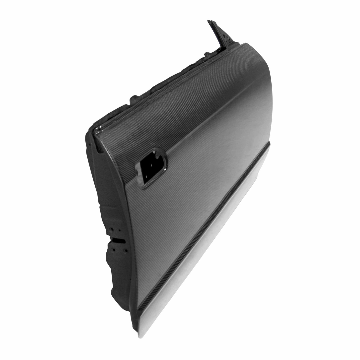 1990-1994 NISSAN SKYLINE R32 (BNR32) Carbon Fiber DOORS (Pair)