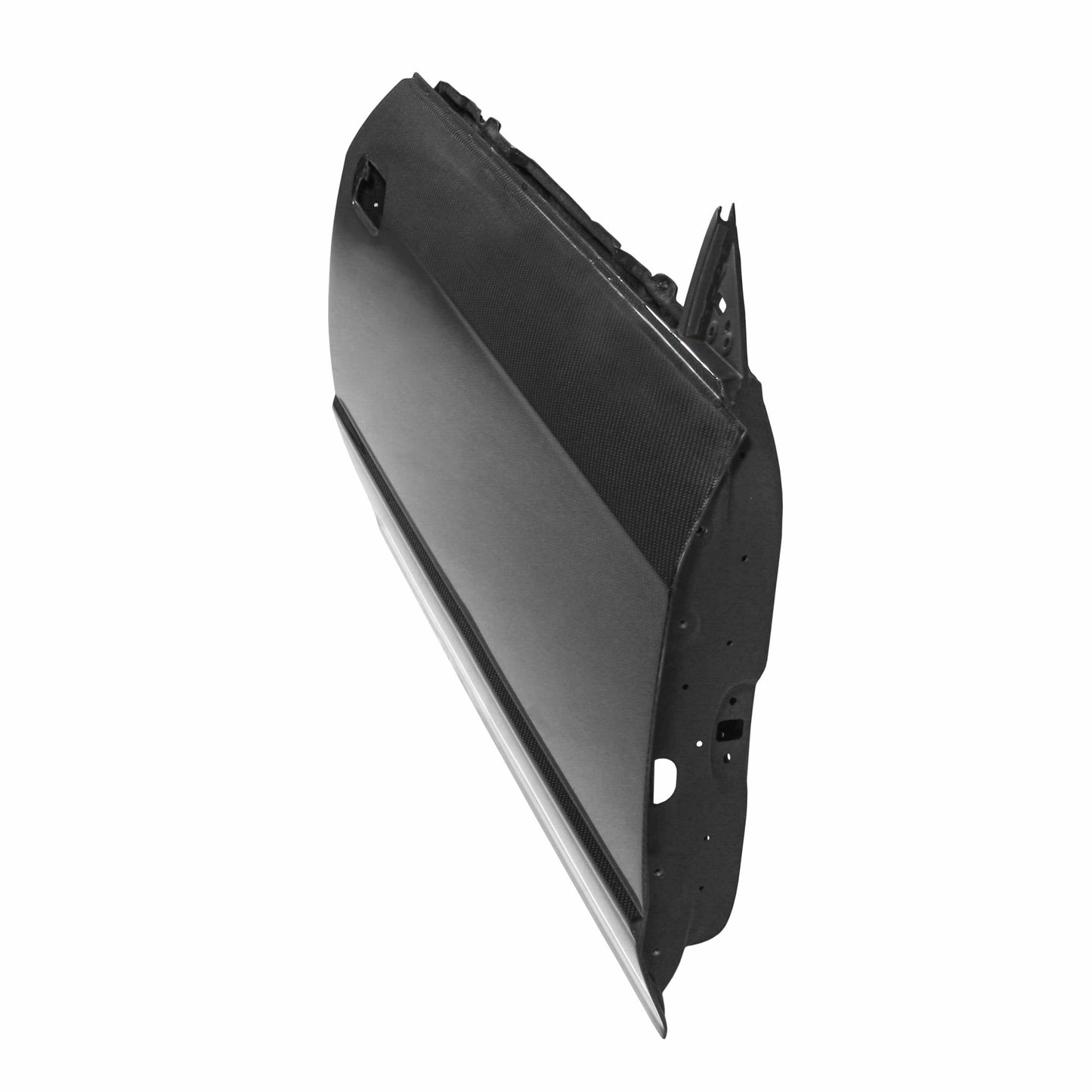 1990-1994 NISSAN SKYLINE R32 (BNR32) Carbon Fiber DOORS (Pair)