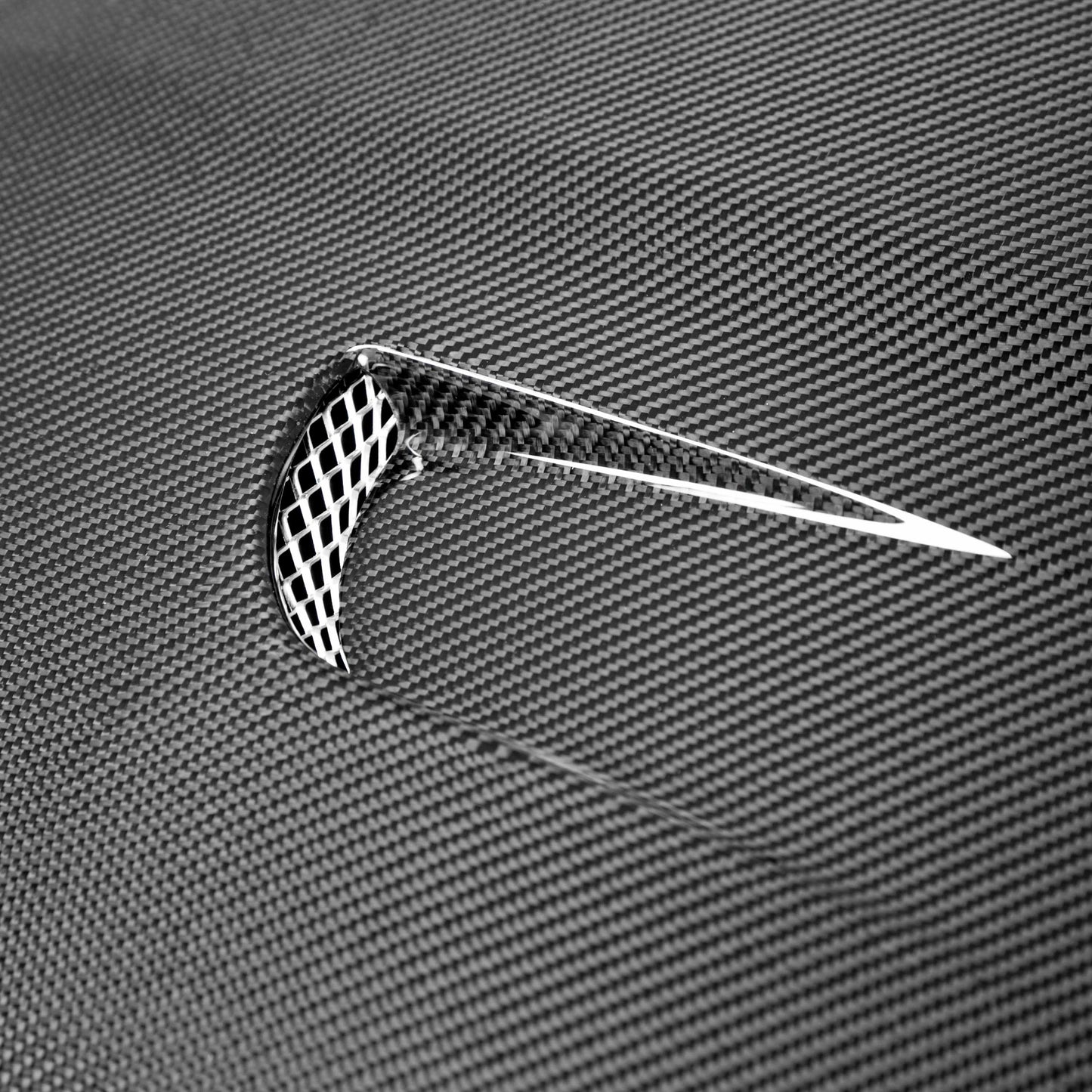 2014-2019 FORD FIESTA TM Carbon Fiber HOOD